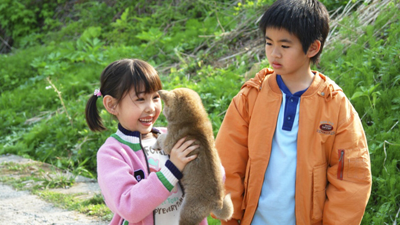 Мари и трое щенков. История мари и трех щенков. Собачка мари. Мари и три щенка. Мари и три щенка.